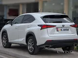 Lexus NX300 2021